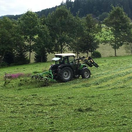 Mattenhof Zell am Harmersbach Bagian luar foto