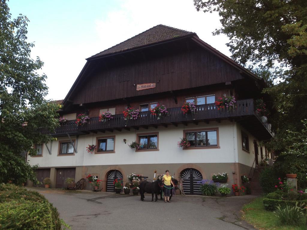 Mattenhof Zell am Harmersbach Bagian luar foto