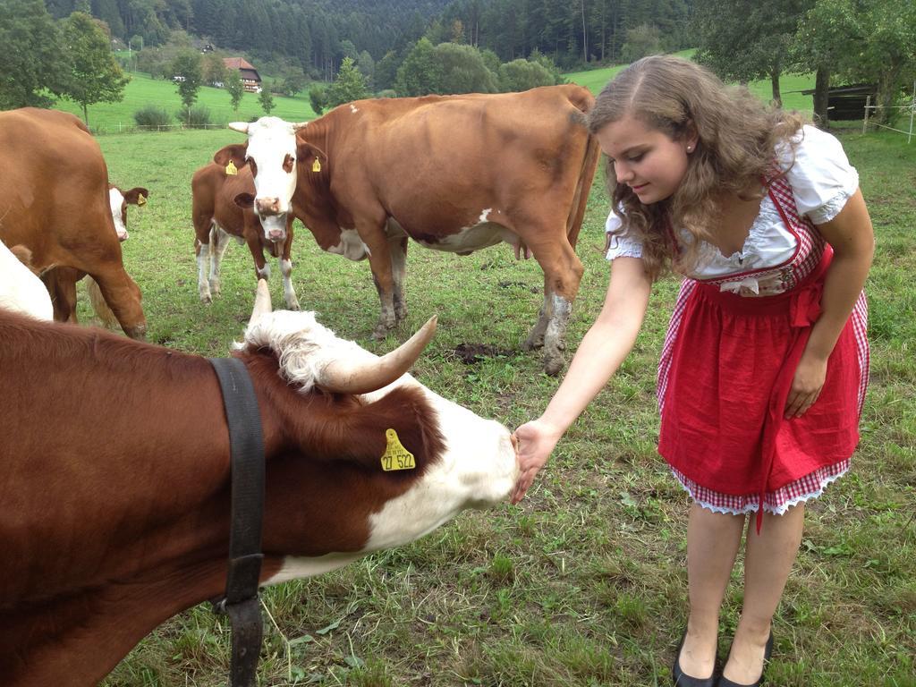 Mattenhof Zell am Harmersbach Bagian luar foto