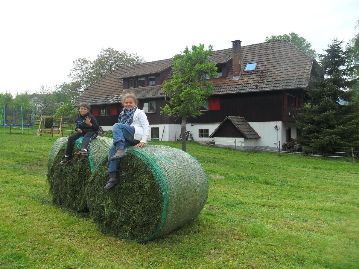 Mattenhof Zell am Harmersbach Bagian luar foto