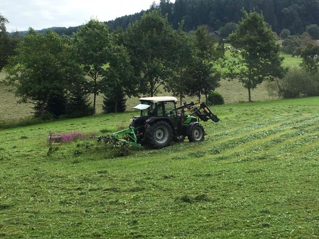 Mattenhof Zell am Harmersbach Bagian luar foto