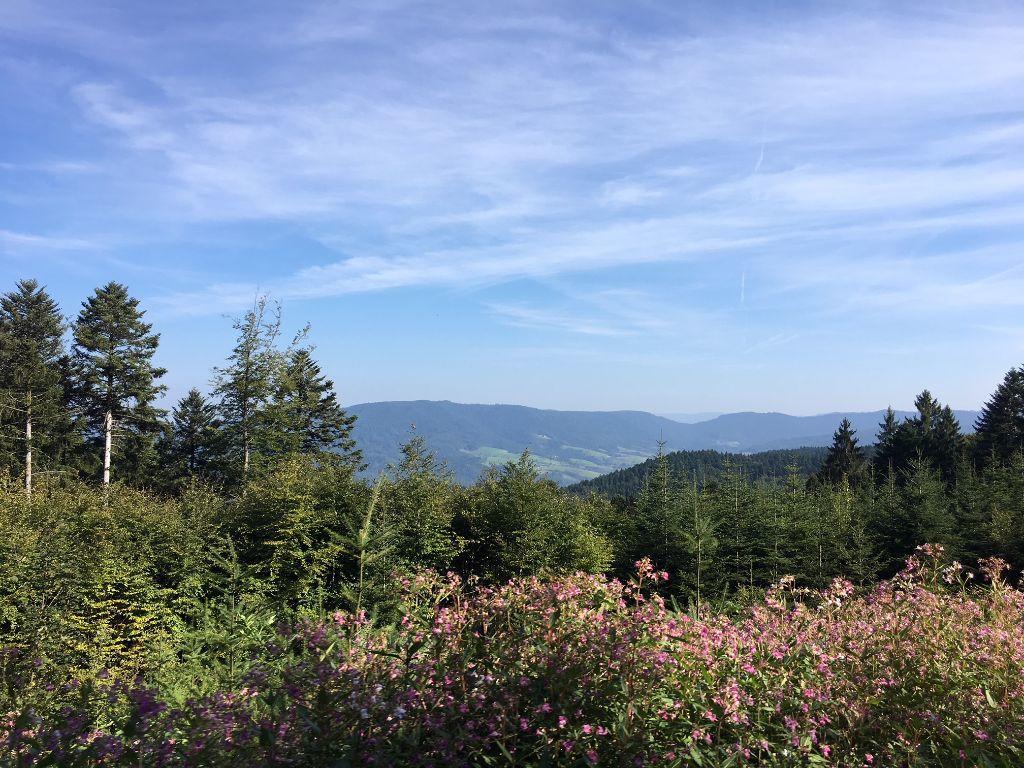 Mattenhof Zell am Harmersbach Bagian luar foto