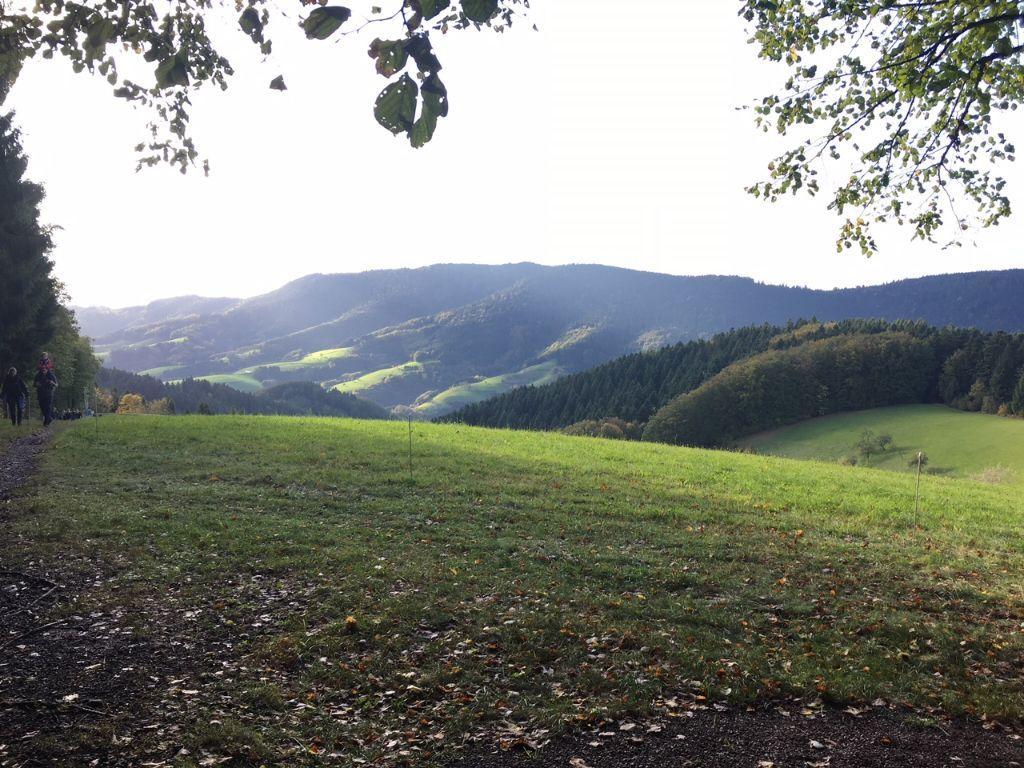 Mattenhof Zell am Harmersbach Bagian luar foto