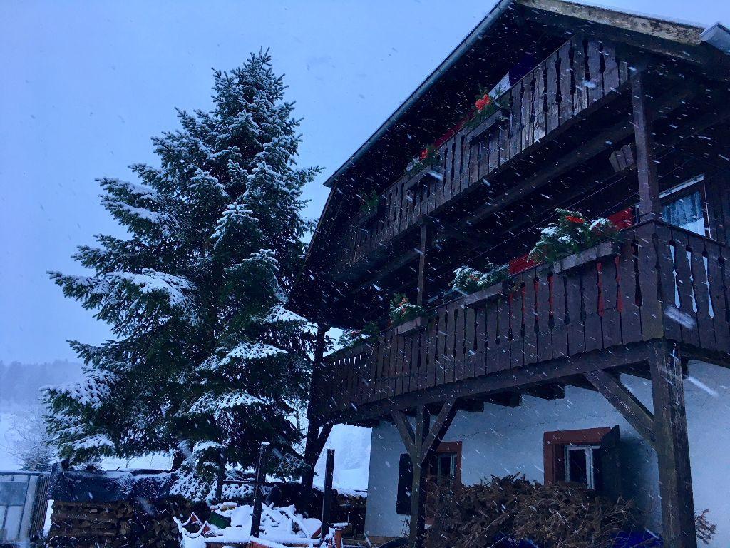 Mattenhof Zell am Harmersbach Bagian luar foto