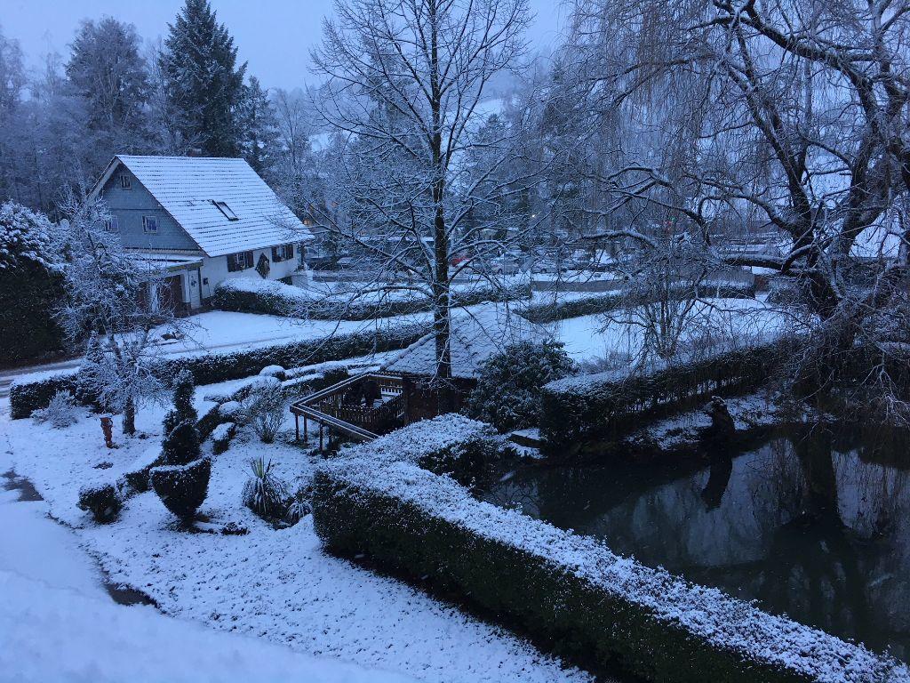 Mattenhof Zell am Harmersbach Bagian luar foto